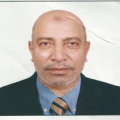 مصطفى يوسف محمد السيسى
