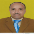 محمد حسن محمد سعدالدين