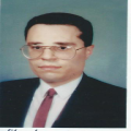 وائل محمد كمال عبدالمحسن زهران